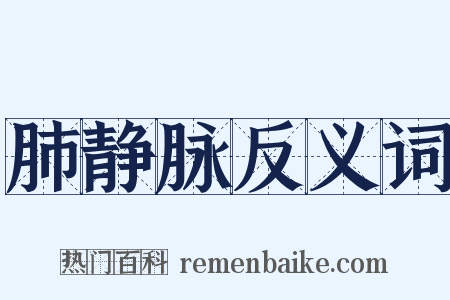 肺静脉反义词是什么意思的图片